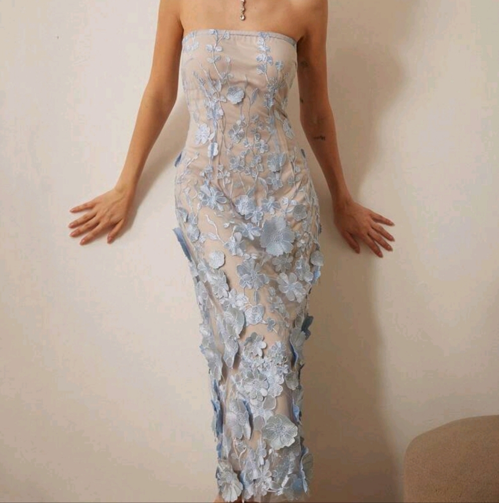 Women's Embroidered 3D Floral Bandeau Midi Dress, For Party - Picture 4 of 4